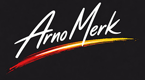 Dart Spieler Arno Merk Bulls Team Player