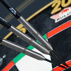 Dart Bulls NL