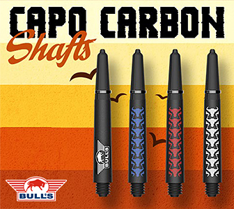 Dart Bulls NL
