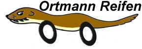Ortmann Reifen Nr 42n für Carrera Go Mini Countrrman WRC #61239 